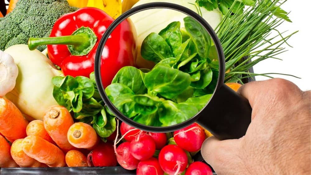 Curso de seguridad alimentaria para manipuladores de alimentos Curso de seguridad alimentaria para manipuladores de alimentos