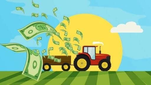 CONTABILIDAD AGROPECUARIA CONTABILIDAD AGROPECUARIA